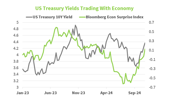 November 2024 Bonds Chart